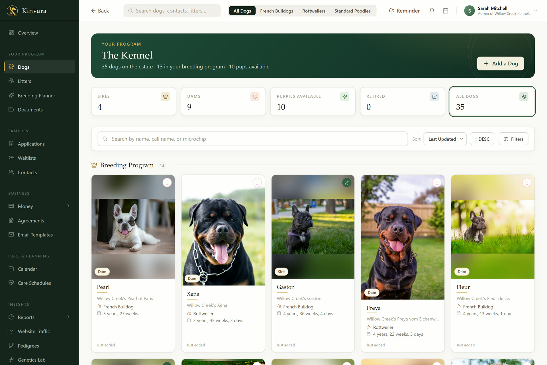 Kinvara dogs page